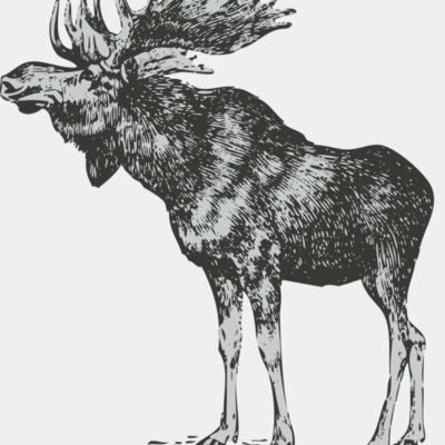Animals   Elk Thumbnail
