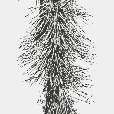 Joshua Tree 8 Thumbnail