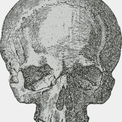 Medical Skull 1 Thumbnail