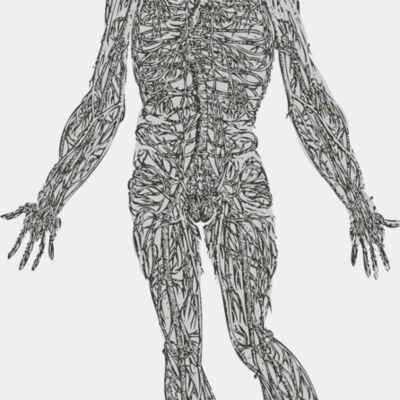 Medical Skull 15 Thumbnail