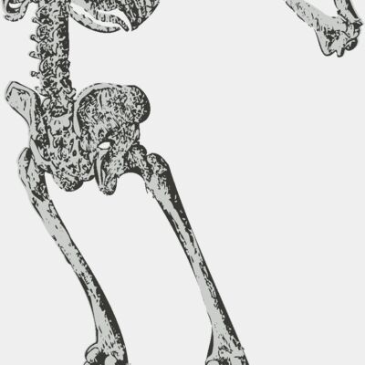 Medical Skull 9 Thumbnail