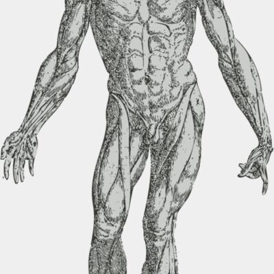 Medical Skull 17 Thumbnail