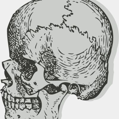 Medical Skull 4 Thumbnail