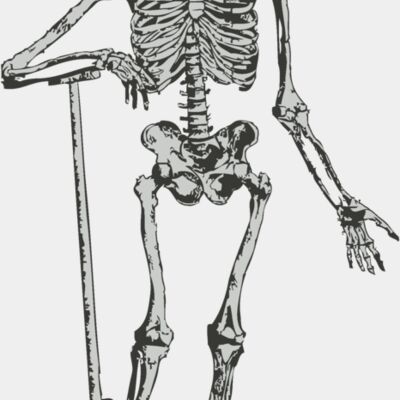 Medical Skull 18 Thumbnail