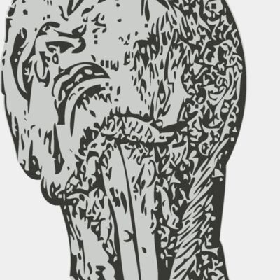 Medical Skull 13 Thumbnail