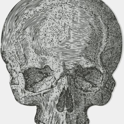 Medical Skull 2 Thumbnail