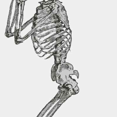 Medical Skull 19 Thumbnail