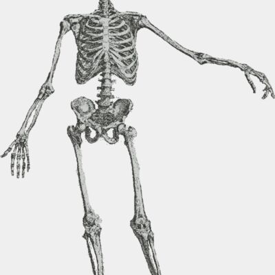 Medical Skull 11 Thumbnail