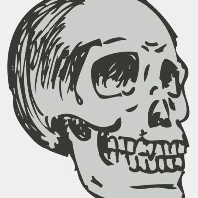 Skull 19 Thumbnail