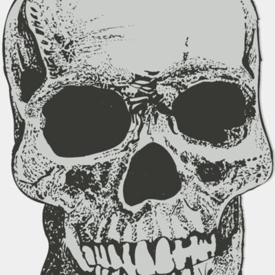 Skull 51 Thumbnail