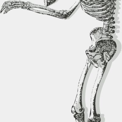 Medical Skull 10 Thumbnail