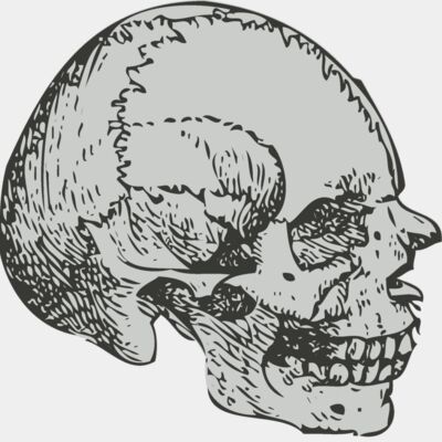 Medical Skull 6 Thumbnail