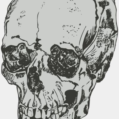 skull 1 Thumbnail