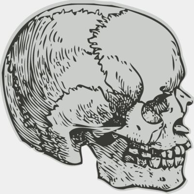 Medical Skull 8 Thumbnail