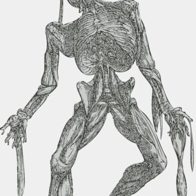 Medical Skull 16 Thumbnail