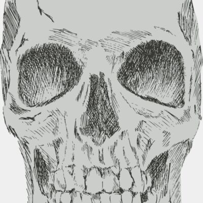 Skulls Hand Drawn 1 Thumbnail