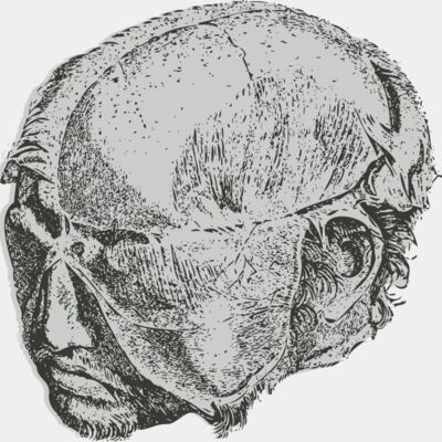 Medical Skull 14 Thumbnail