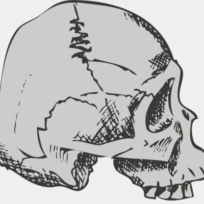 Skull 32 Thumbnail
