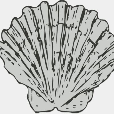 Sealife   sea shell 1 Thumbnail