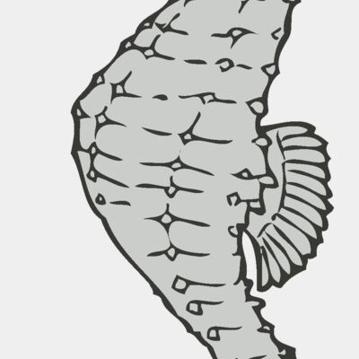 Sealife   seahorse Thumbnail