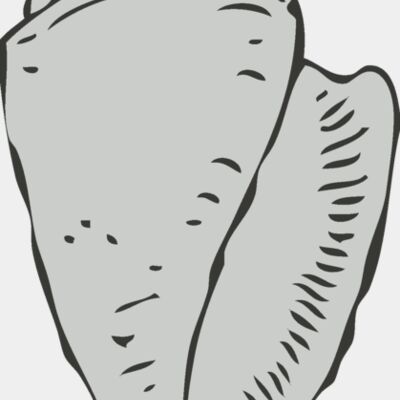 Sealife   sea shell 2 Thumbnail