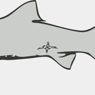 Sealife   shark Thumbnail