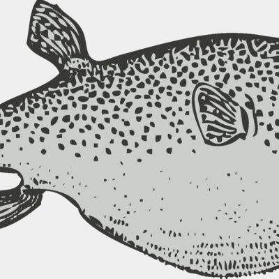 Sealife   fish 3 Thumbnail