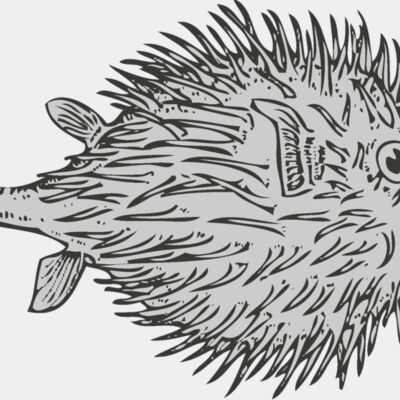 Sealife   blowfish Thumbnail