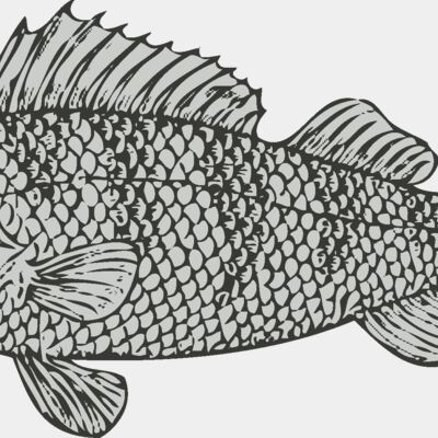 Sealife   fish 5 Thumbnail