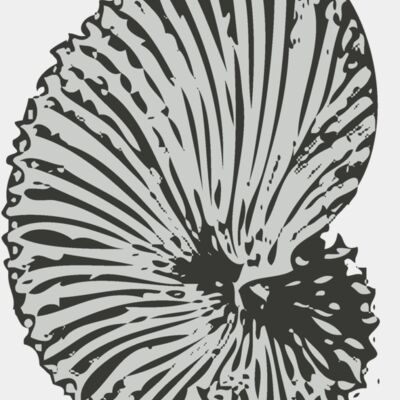 Sealife sea shell 5 Thumbnail