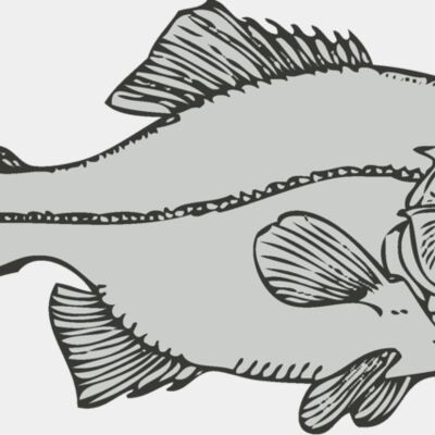 Sealife   fish 4 Thumbnail