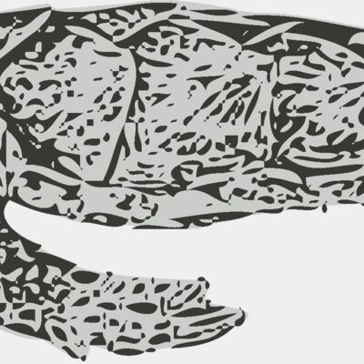 Sealife   sea turtle Thumbnail