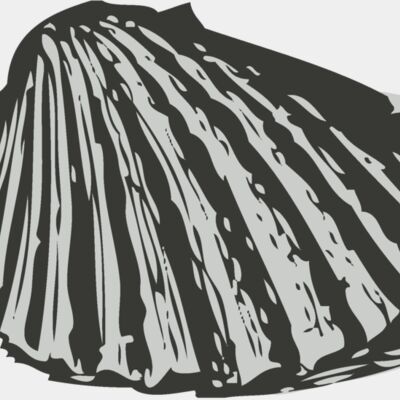 Sealife   sea shell 3 Thumbnail