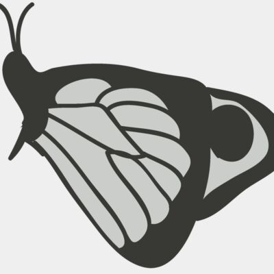 Girly Realistic Butterflies 14 Thumbnail