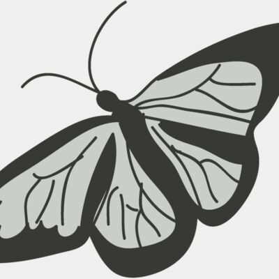 Girly Realistic Butterflies 15 Thumbnail