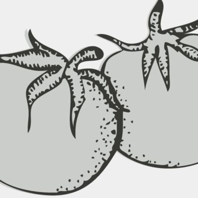 Food 25   tomato Thumbnail