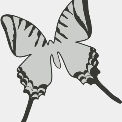 Girly Realistic Butterflies 5 Thumbnail