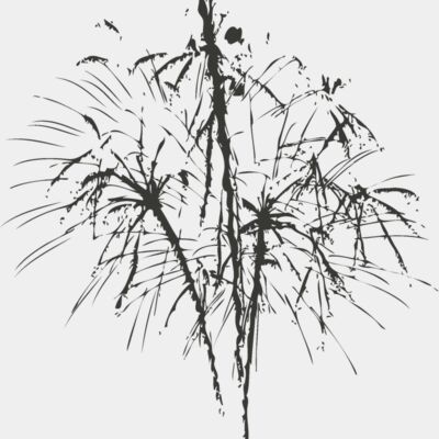 Fireworks 1 Thumbnail