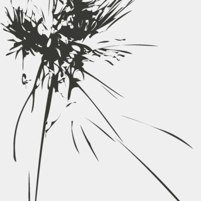 Fireworks 10 Thumbnail