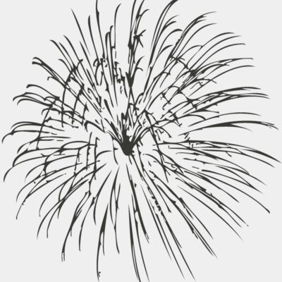 Fireworks 9 Thumbnail