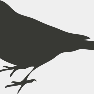 Animal Shilouette   Bird 2 Thumbnail