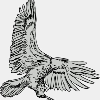 Bird   Eagle Thumbnail