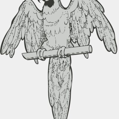 Bird   Parrot Thumbnail