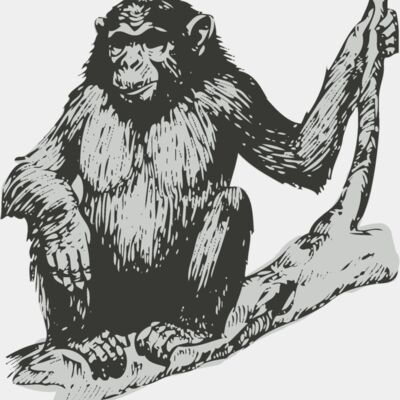 Animals   Chimpanzee Thumbnail