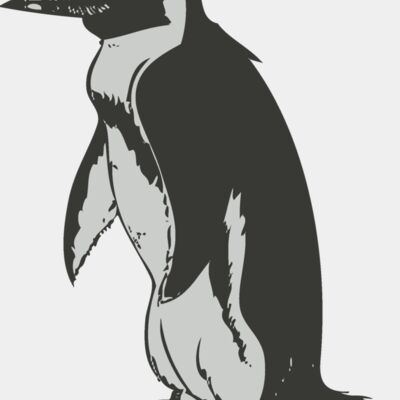 Bird   penguin 2 Thumbnail