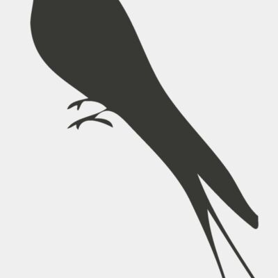 Animal Shilouette   Bird Thumbnail