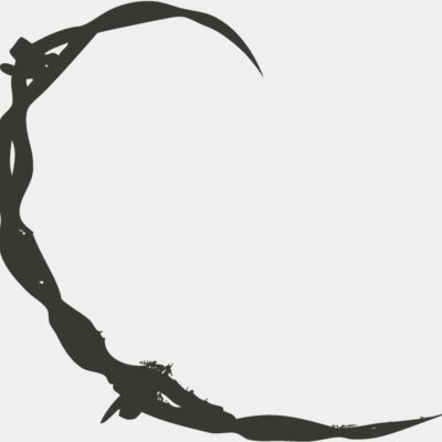 Barbed Wire 50 Thumbnail