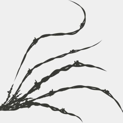 Barbed Wire 64 Thumbnail