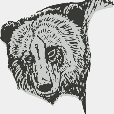 Animals   Bear 4 Thumbnail