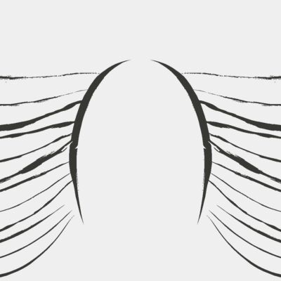 Charcoal Wing 31 Thumbnail